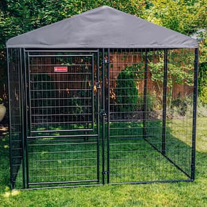 Stay Series Executive Kennel- Steel Grey (8 ft. x 8 ft. x 6 ft.)