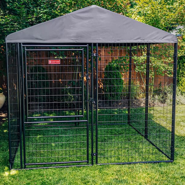 Lucky Dog Stay Series Executive Kennel- Steel Grey (8 ft. x 8 ft. x 6 ft.)