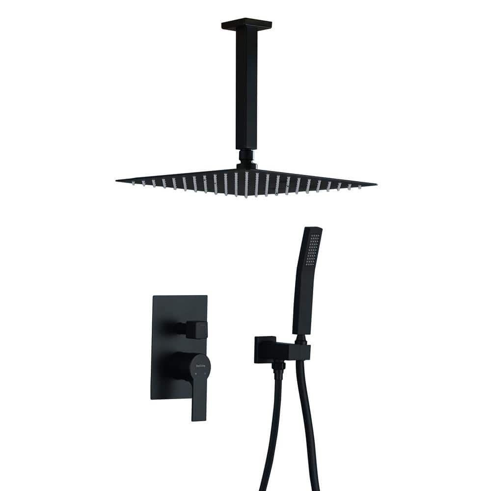 1-Spray Patterns with 2.5 GPM 12 in. Ceiling Mount Dual Shower Heads with P