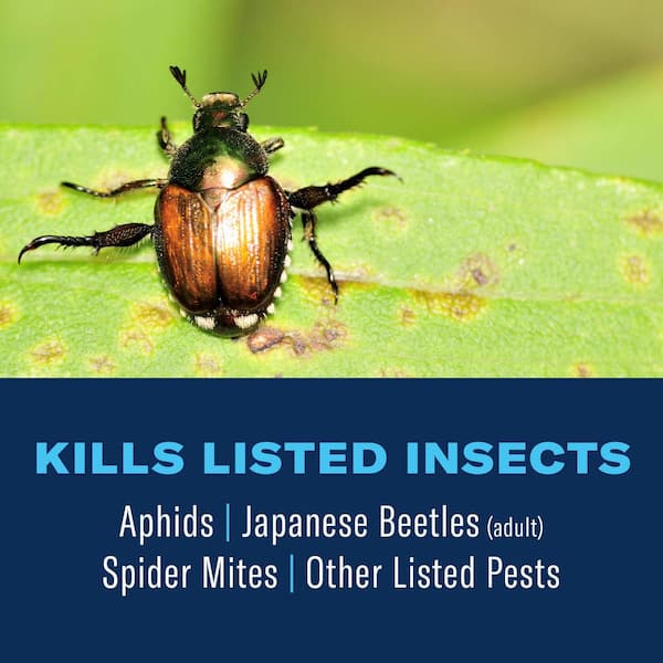 24 oz. Ready-To-Use 3-in-1 Insect Killer, Disease and Mite Control
