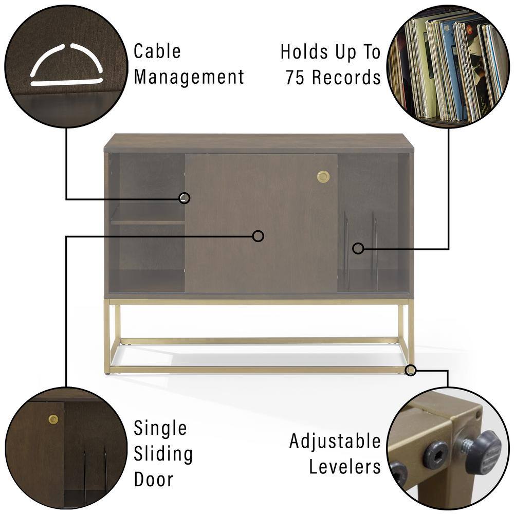 Byron Dark Brown and Gold Media Console with Vinyl Storage