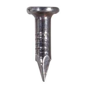 10 x 5/8 in. Steel Concrete Nails (1 lb.-Pack)