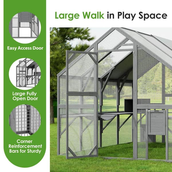 Outdoor cat hotsell run enclosure