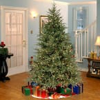 National Tree 6.5 Foot Frasier Grande Tree