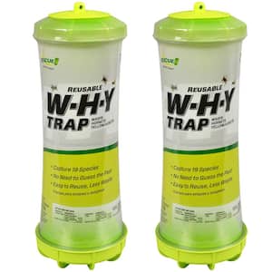 Wasps Hornets Yellow jackets and Hornets Why Trap for (2-Pack)