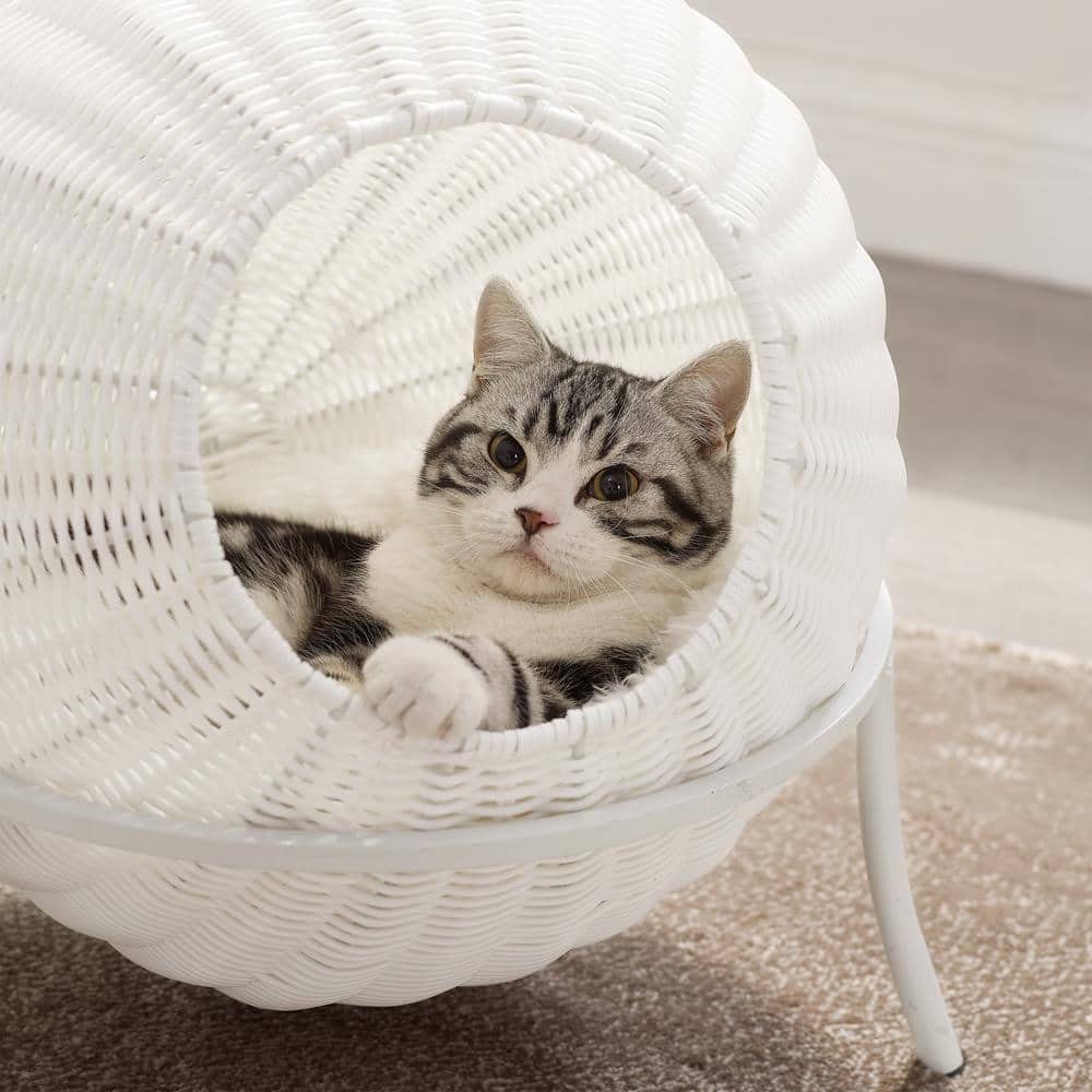 Nala White Wicker Cat Condo with Plush Cushion