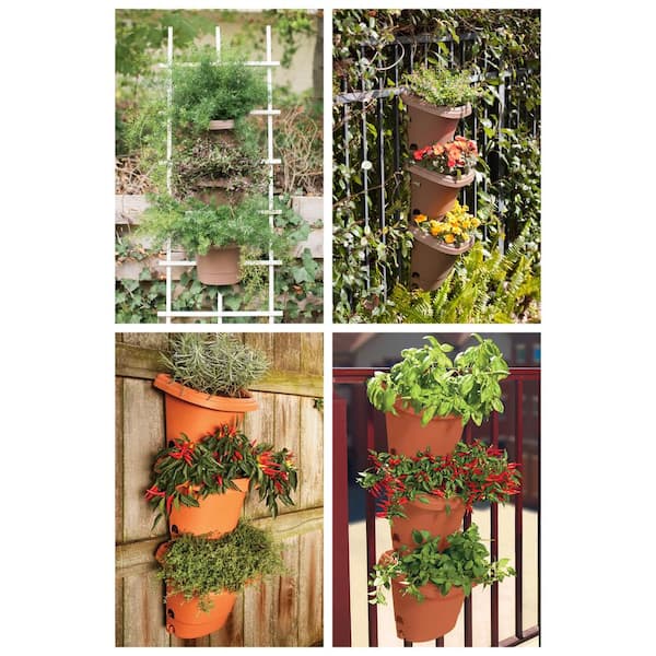 Bloem Hanging Garden Planter Kit Plastic in Black (3-Pack) 482124