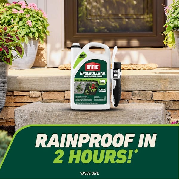 Ortho GroundClear Weed and Grass Killer 1 gal. OMRI Listed Spray  Ready-to-Use Weed Killer with Comfort Wand 461326405 - The Home Depot