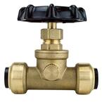 1/2 in. Brass Push-To-Connect Stop Valve with Drain
