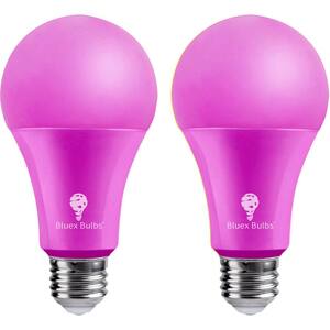 120-Watt Equivalent A21 Decorative Indoor/Outdoor LED Light Bulb in Pink (2-Pack)