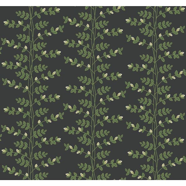 RIFLE PAPER CO. Climbing Vine Black Green Metallic Non-Pasted Wallpaper