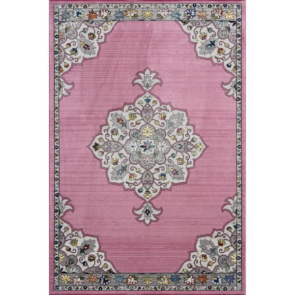 Unbranded Gracie Traditional Pink/Gray 5 ft. x 7 ft. 6 in. Medallion Border Polypropylene Area Rug