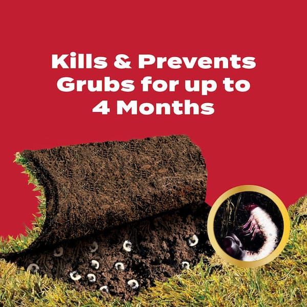 Scotts GrubEx Granules Grub and Insect Control 14.35 lb