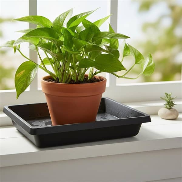 2 Pack Plastic Square Plant Saucer YNLIN375 - The Home Depot