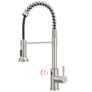 Single-Handle Pull Down Sprayer Kitchen Faucet in Brushed Nickle
