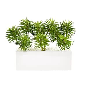 Indoor Spiky Succulent Garden Artificial Plant in White Ceramic Vase