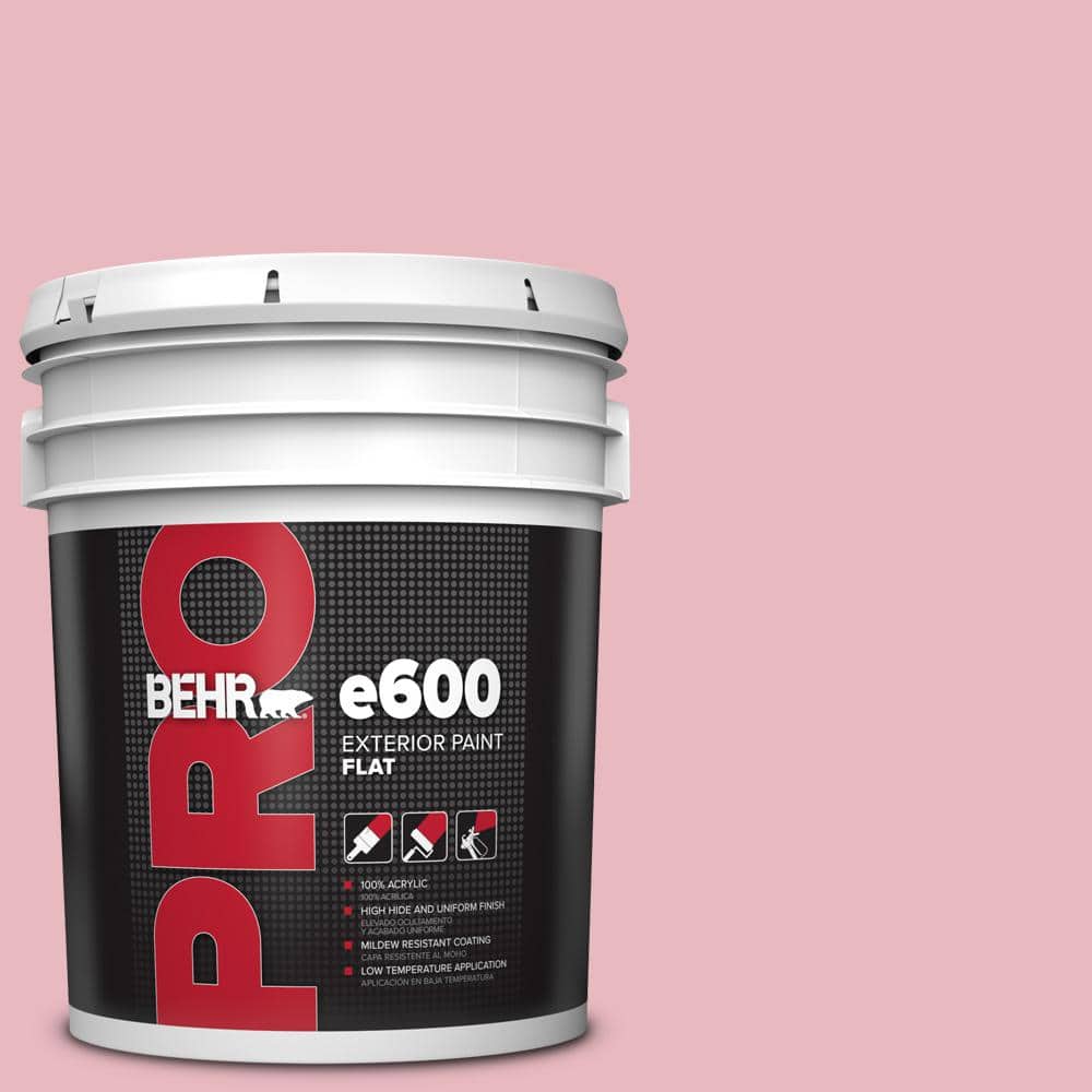 5 gal. #M150-2 Peppermint Stick Flat Exterior Paint price history on PriceWatchPro
