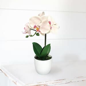 13 in. Blush Peach Artificial Phalaenopsis Orchid Flower Arrangement in White Pot
