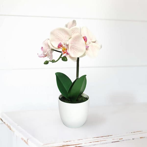 Unbranded 13 in. Blush Peach Artificial Phalaenopsis Orchid Flower Arrangement in White Pot