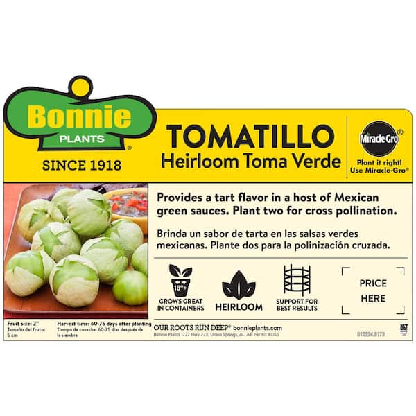19 oz. Tomatillo Heirloom Tomato Plant