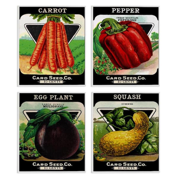 Vintage Farm Garden Vegetables by Lil' Rue 4 Piece White Framed Food Giclee Art Print 20 in. x 16 in.