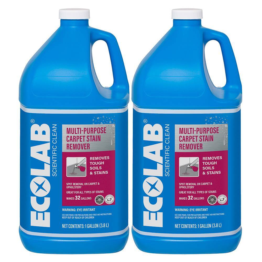 1 Gal. Multi-Purpose Carpet Stain Remover (2-Pack)