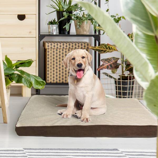 Peaks Dog Bed Washing Instructions | informacionpublica.svet.gob.gt