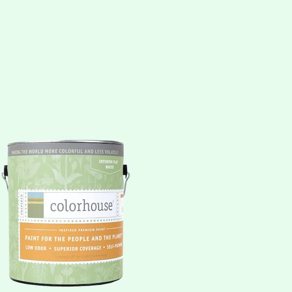 Colorhouse 1 gal. Air .05 Flat Interior Paint