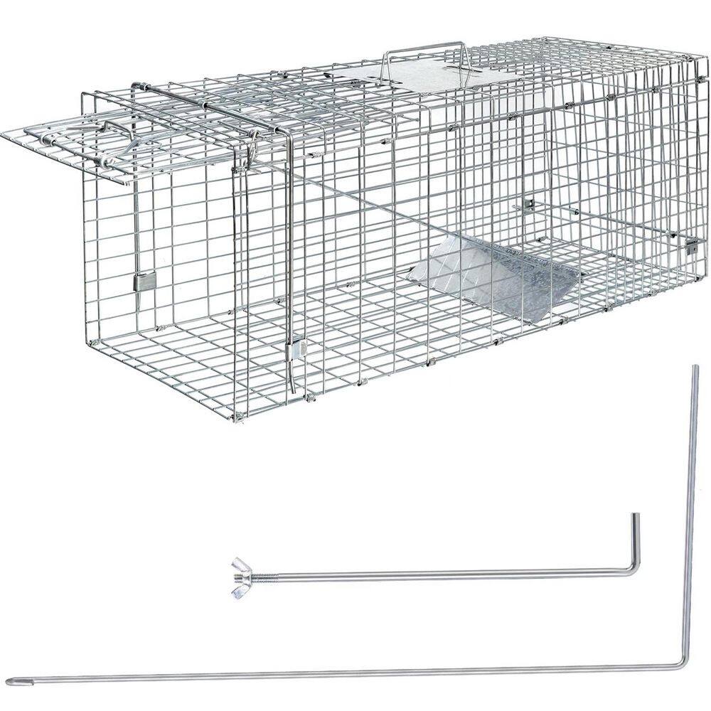 Tosulte Collapsible Galvanized Wire Humane Live Catch Animal Rodent ...