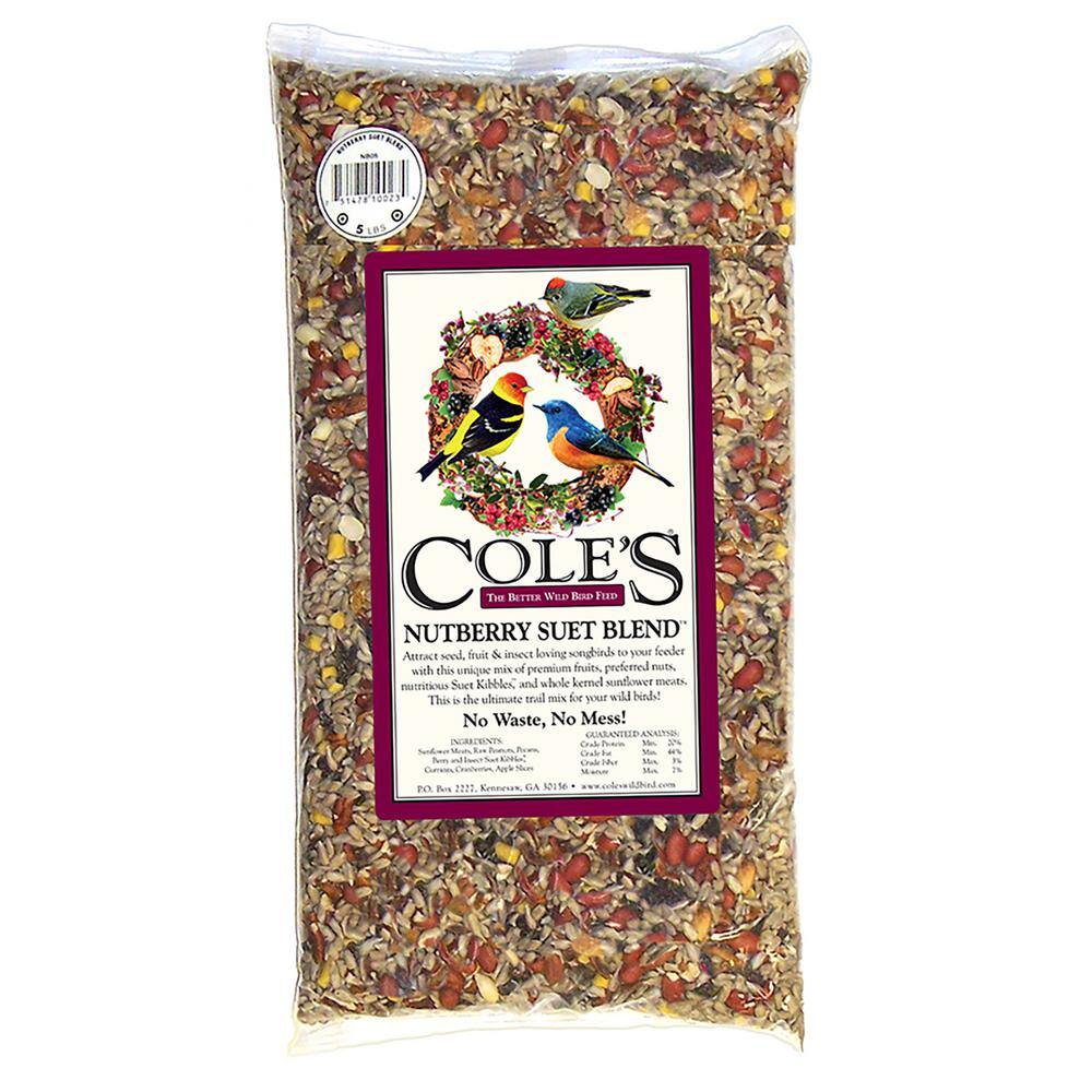 10 lbs. Nutberry Suet Blend Assorted Species Sunflower Meats Wild Bird Seed