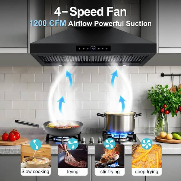 Denjol 48 in. 1000 CFM Ducted Vent Wall Mount Range Hood with Dual