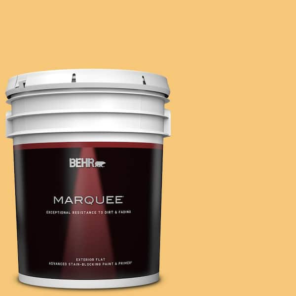 BEHR MARQUEE 5 gal. #T14-19 Sunday Afternoon Flat Exterior Paint & Primer