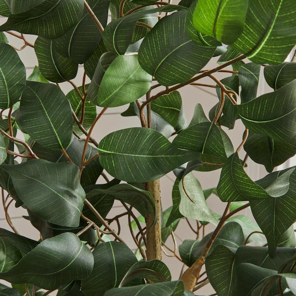 6ft Faux Ficus Tree in White Pot