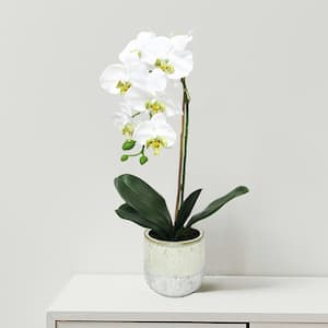 22 in. White Artificial Phalaenopsis Orchid Flower Arrangement in Half Glazed Ceramic Pot