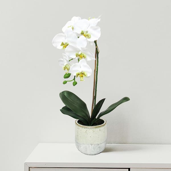 LIVING LUXURY 22 in. White Artificial Phalaenopsis Orchid Flower Arrangement in Half Glazed Ceramic Pot