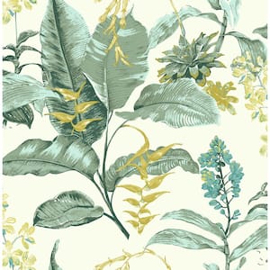 Maui Green Botanical Green Wallpaper Sample