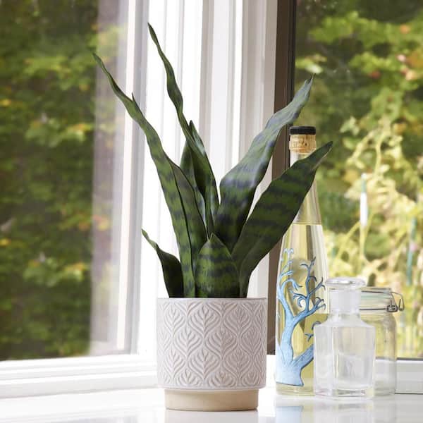 Snake Plant - Artificial Plants - Home Decor - The Home Depot