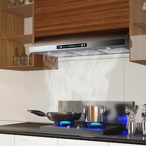 Vissani Caprelo 30 in. 320 CFM Convertible Under Cabinet Range Hood in  Stainless Steel with LED Lighting and Charcoal Filter QR254S - The Home  Depot