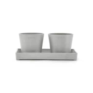 Amsterdam 4 in. White Grey Premium Sustainable Planter x2 ( with Display Platter)