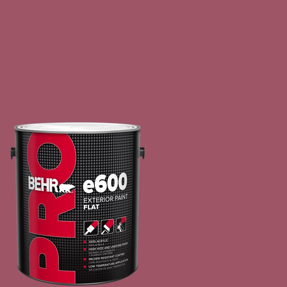 1 gal. #110D-5 Mission Wildflower Flat Exterior Paint price history on PriceWatchPro