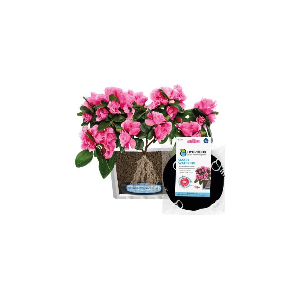 Hydrobox - 5.9 in. Smart Plant Watering, HDPE, PES
