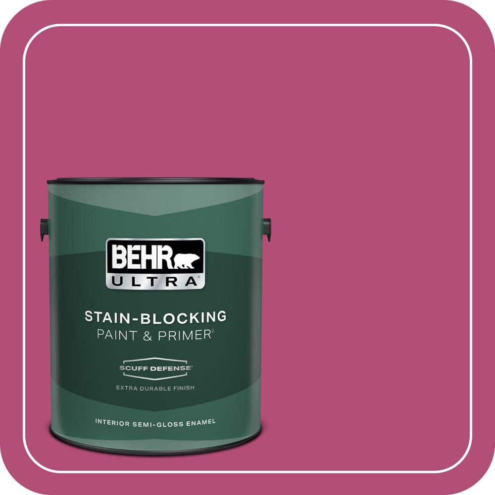 1 gal. #P120-6 Diva Glam Extra Durable Semi-Gloss Enamel Interior Paint & Primer price history on PriceWatchPro