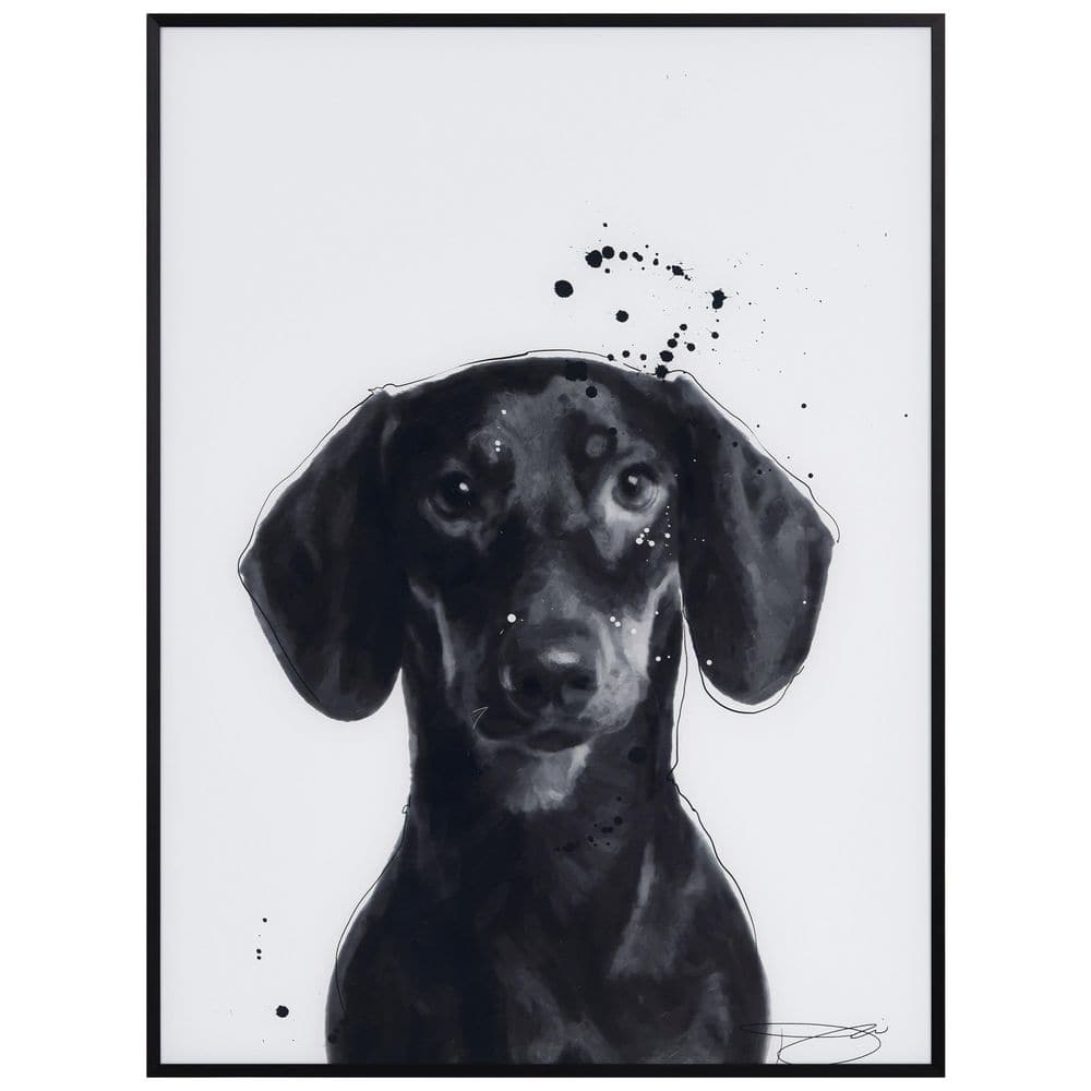 Empire Art Direct Dachshund' Black and White Pet Paintings on Printed  Glass Encased with a Gunmetal Anodized Frame AAGB-JP1043-2418 - The Home  Depot