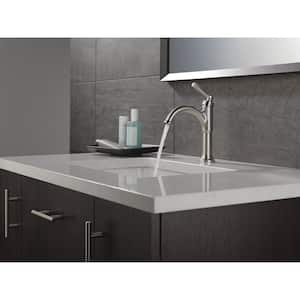 Saylor Single Handle Single Hole Bathroom Faucet in Stainless Steel