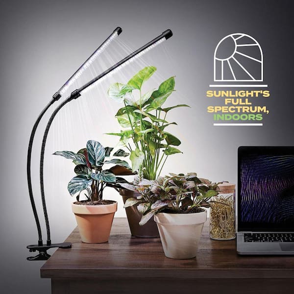 LED Grow Light Full Spectrum with Dimmable Modes and Auto Timer, Clip On Gooseneck Lamp for Indoor Plants