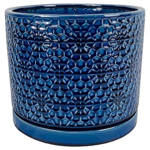 fiorina＊様 Shaw Grandview Angelina 12 MIL x 7 in. W x 48 in. L