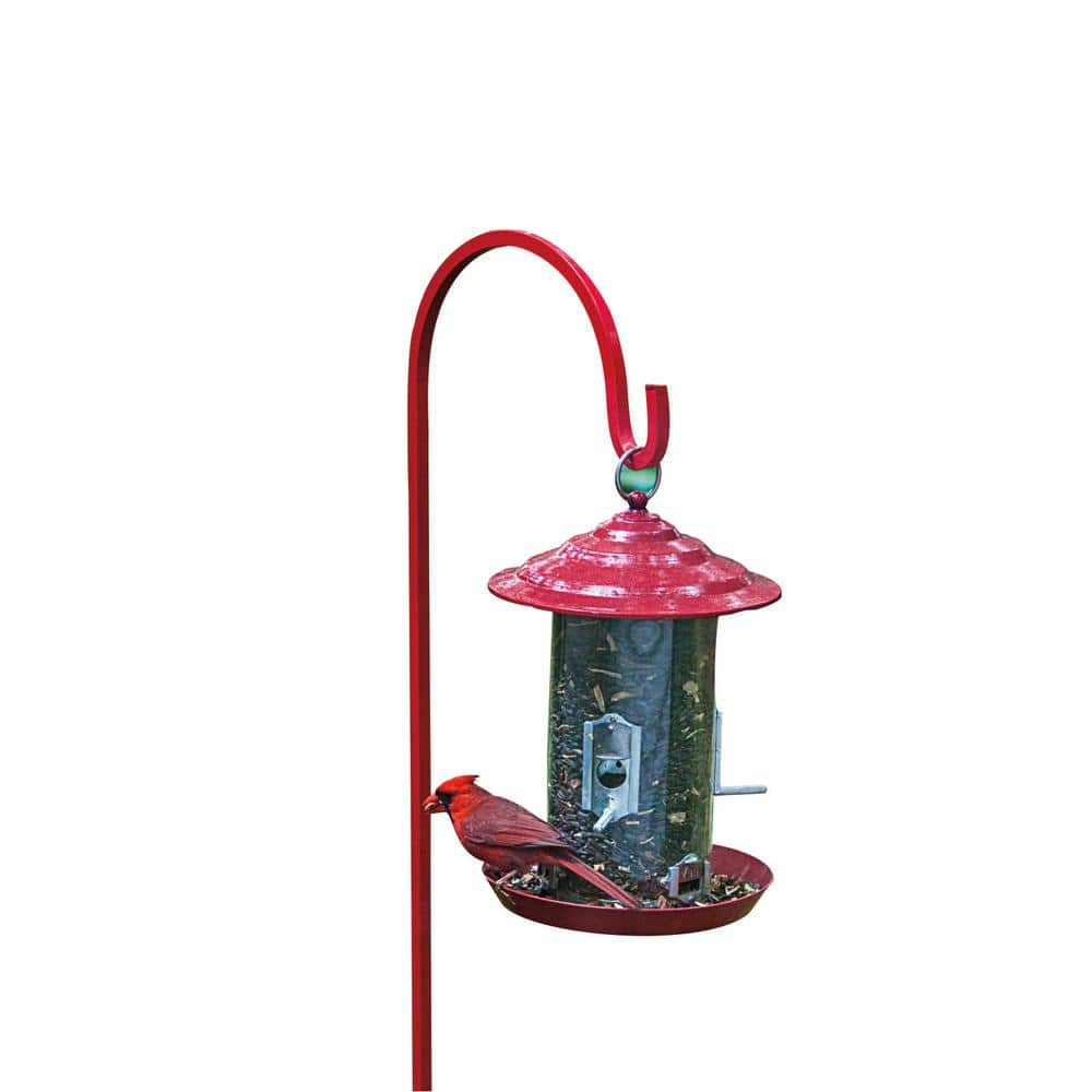 Audobon Workshop 12 In. Tall Backyard Raspberry Red Bird Feeder