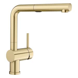 Linus Single-Handle Pull Out Sprayer Kitchen Faucet in Satin Gold