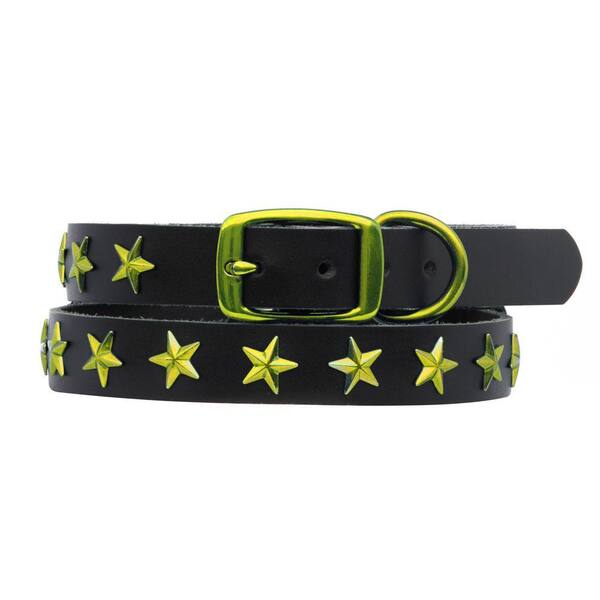 Platinum Pets 15 in. Black Genuine Leather Dog Collar in Lime Stars