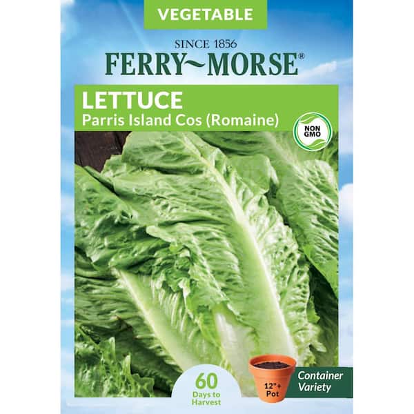 Ferry-Morse Lettuce Romaine Parris Island Seed